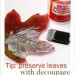 How to preserve fall leaves with Mod Podge