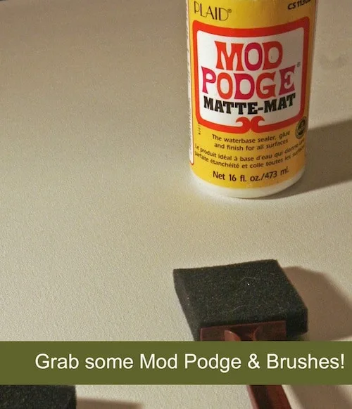 Bottle of Mod Podge Matte and a foam brush
