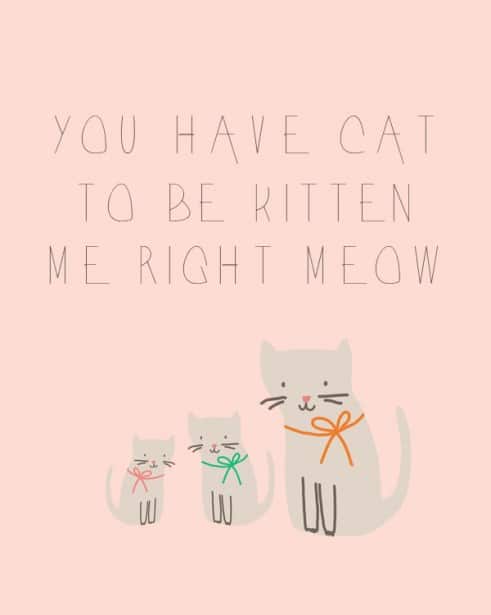 You've Cat to be Kitten Me Right Meow Free Printable - Mod Podge Rocks
