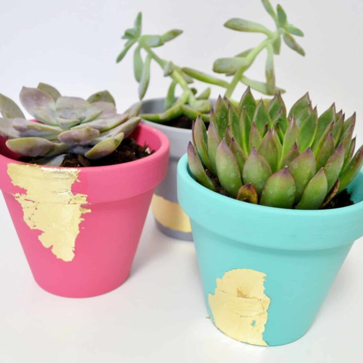 Easy Mod Podge gold leaf succulent planters