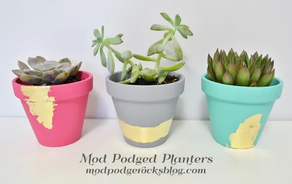 Make gold leafed, decoupage succulent planters DIY Gold Leaf Planter with Mod Podge
