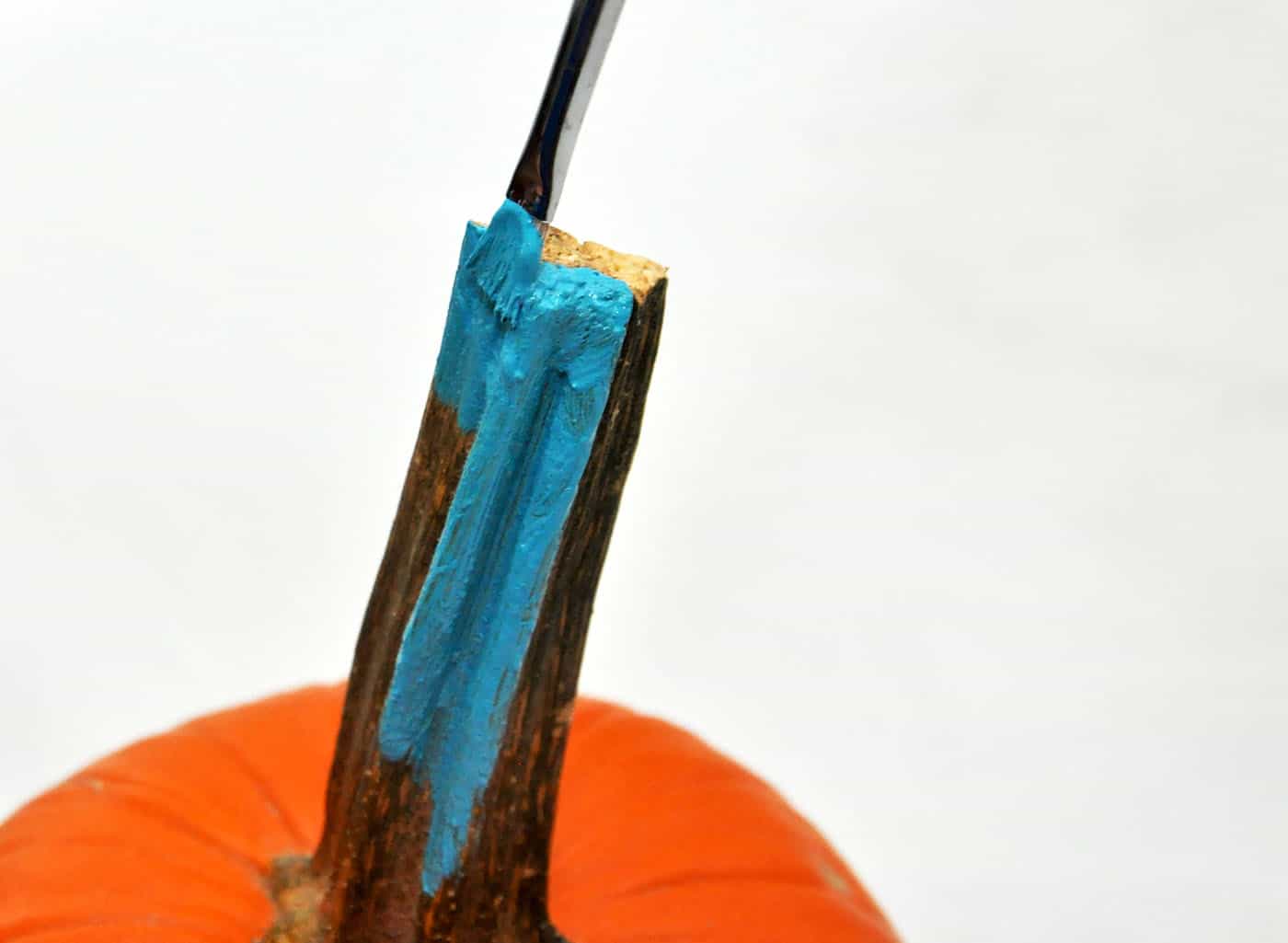 Paint the stem of a pumpkin