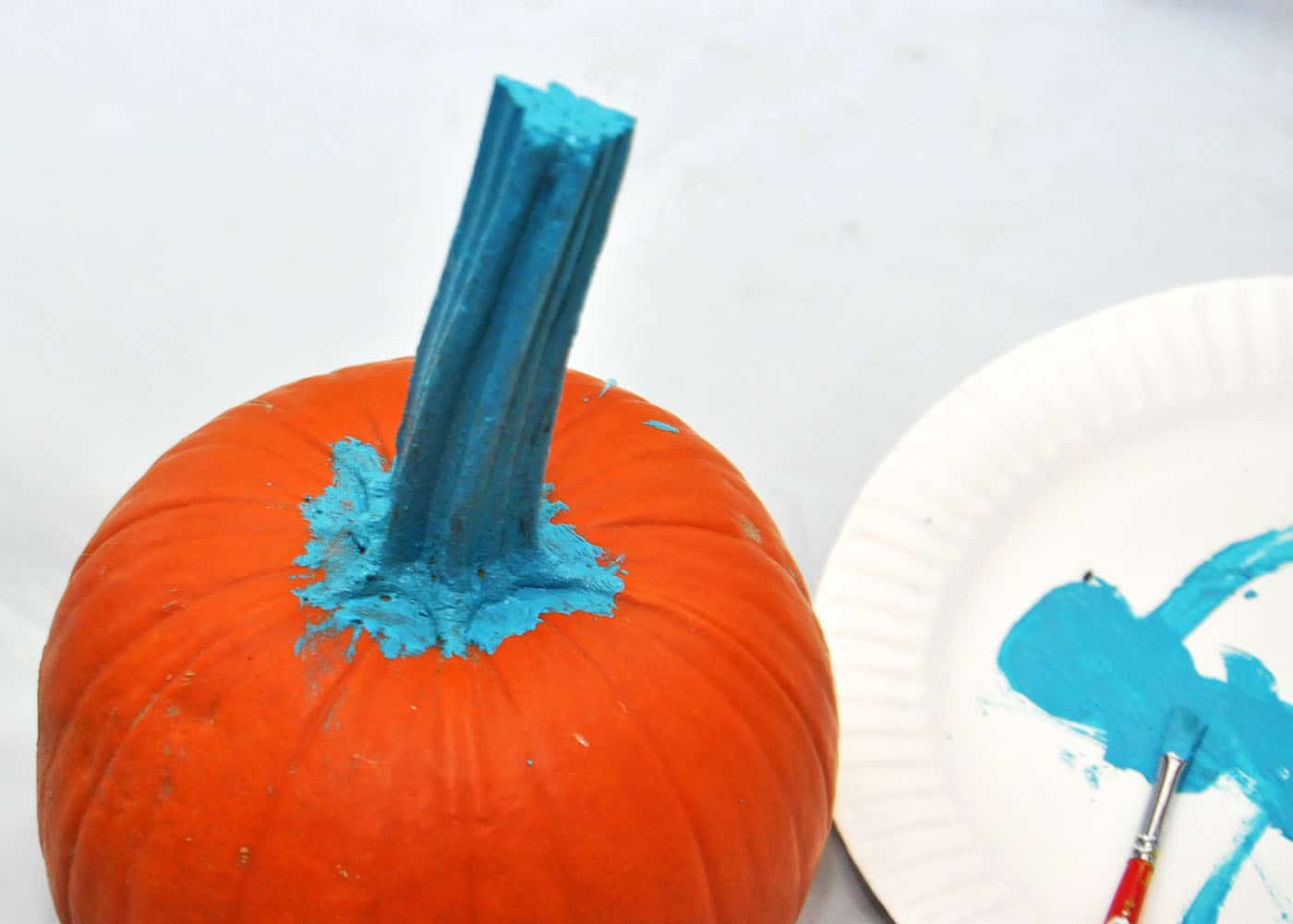 Pumpkin with a painted stem