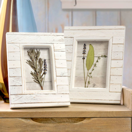 DIY Pressed Flowers with Mod Podge Mod Podge Rocks