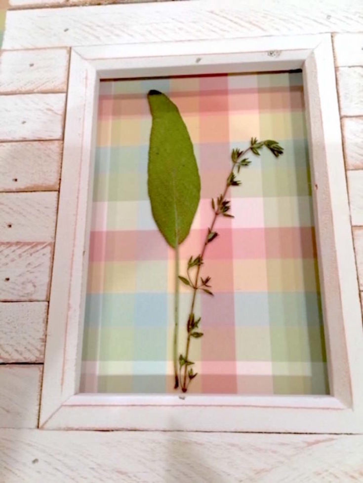 DIY Pressed Flowers with Mod Podge Mod Podge Rocks