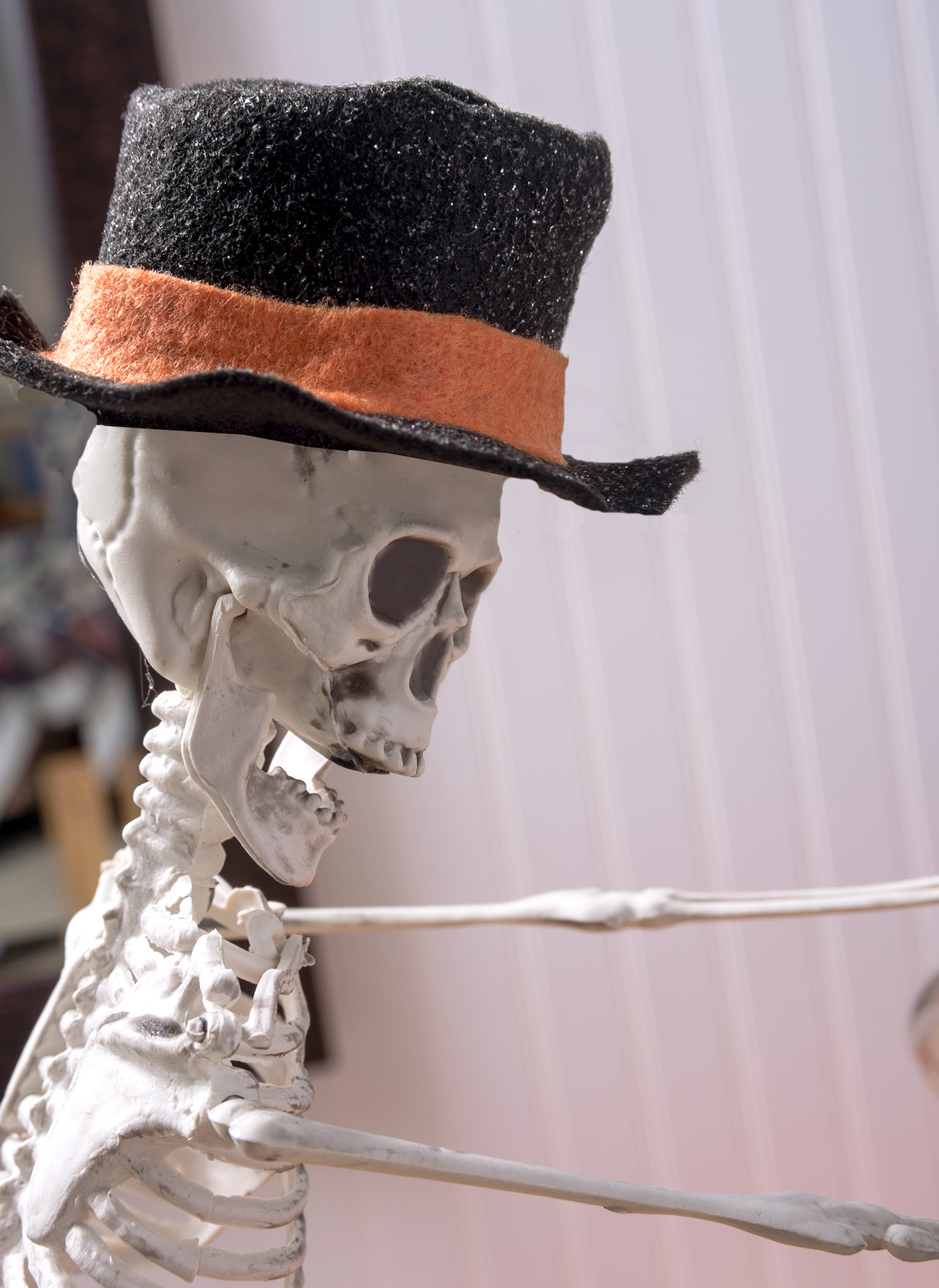 Close up of the skeleton wearing a hat
