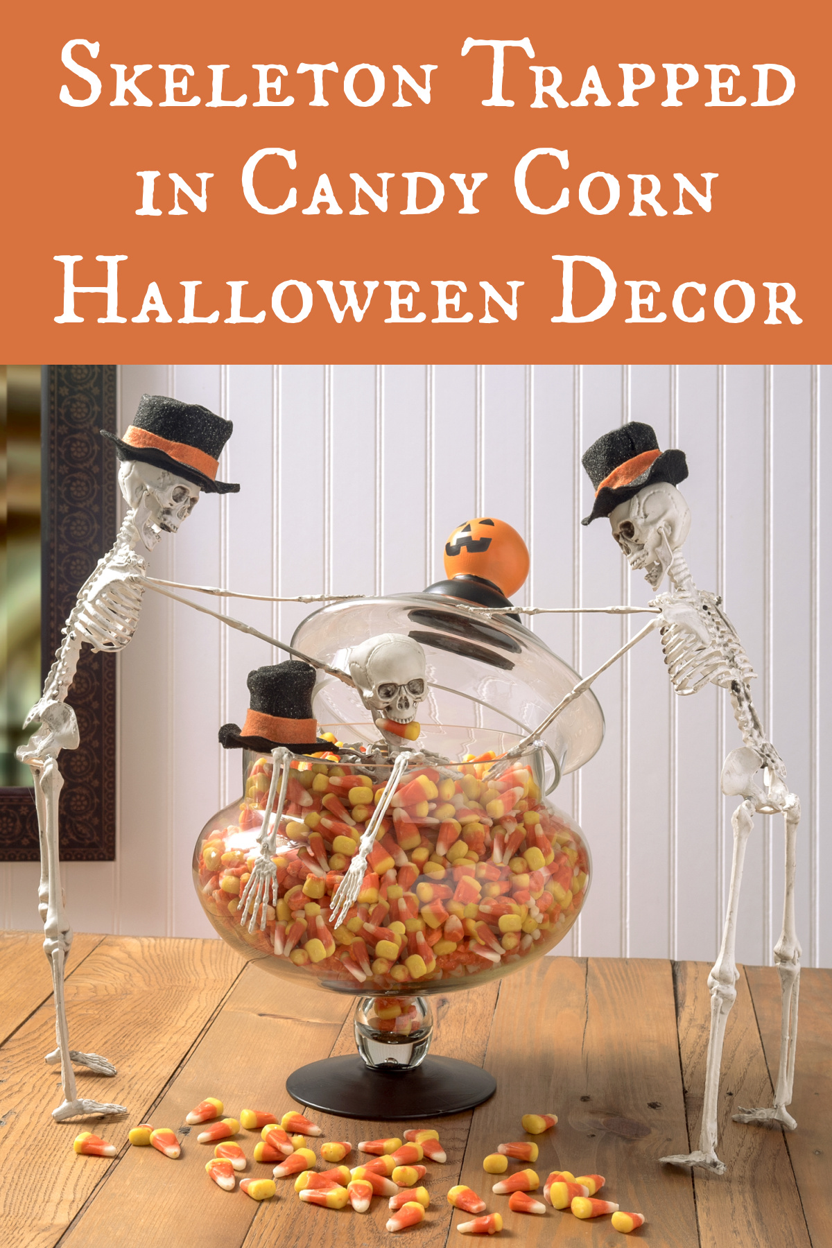 Skeleton Trapped in Candy Corn Halloween Decor