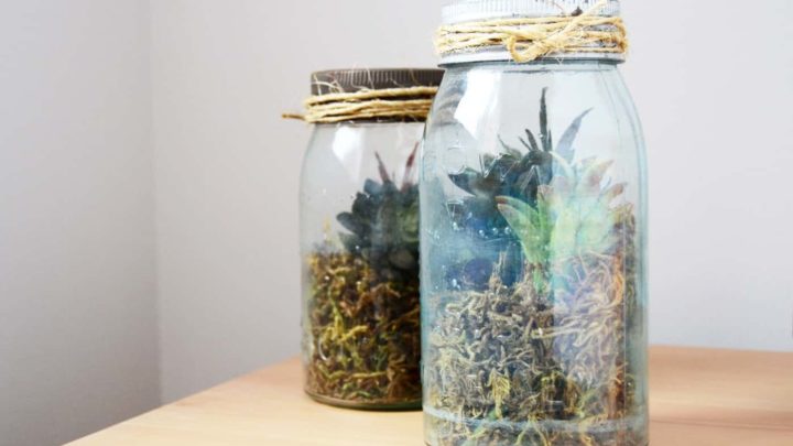 glass jars to decorate