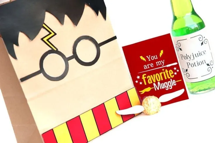 Harry PotterInspired Party Bags Fun Ways to Make  Enjoy