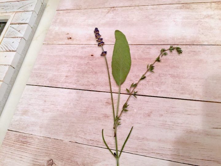 DIY Pressed Flowers with Mod Podge Mod Podge Rocks