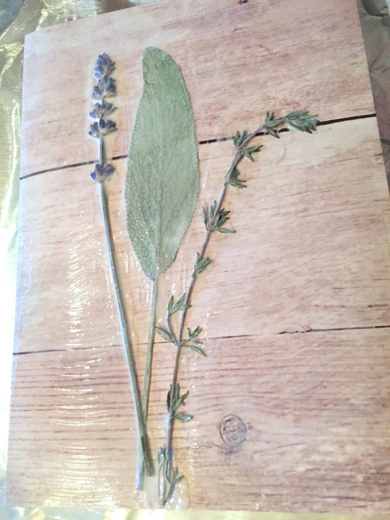 DIY Pressed Flowers with Mod Podge Mod Podge Rocks