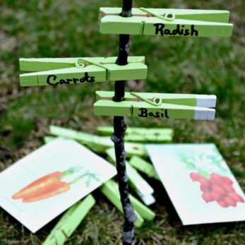 Clothespin Craft Ideas for Kids or Adults - Mod Podge Rocks